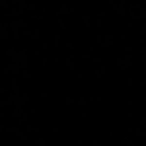 Meet your Posher, Isabel